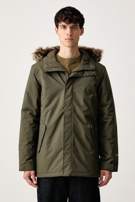 the north face zaneck